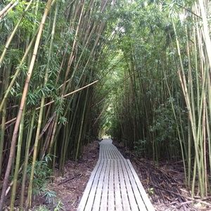 Meet your Posher, Berit